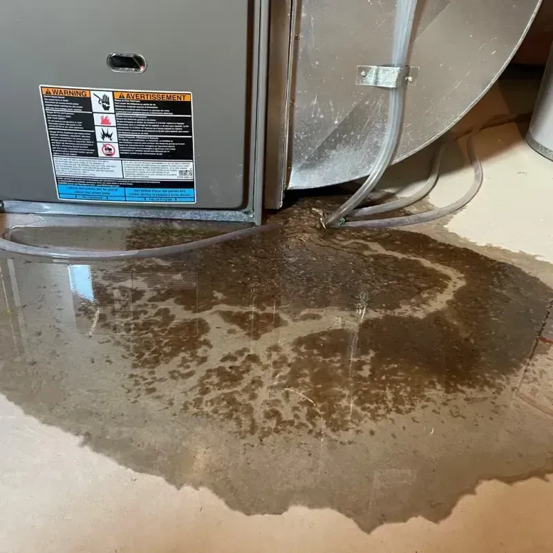 Appliance Leak Cleanup in Highlands, NJ